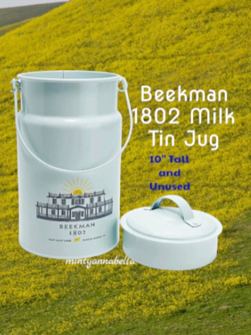🐐 2 Pc Beekman 1802 Milk 🥛 Tin Jug